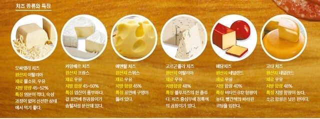 치즈 종류