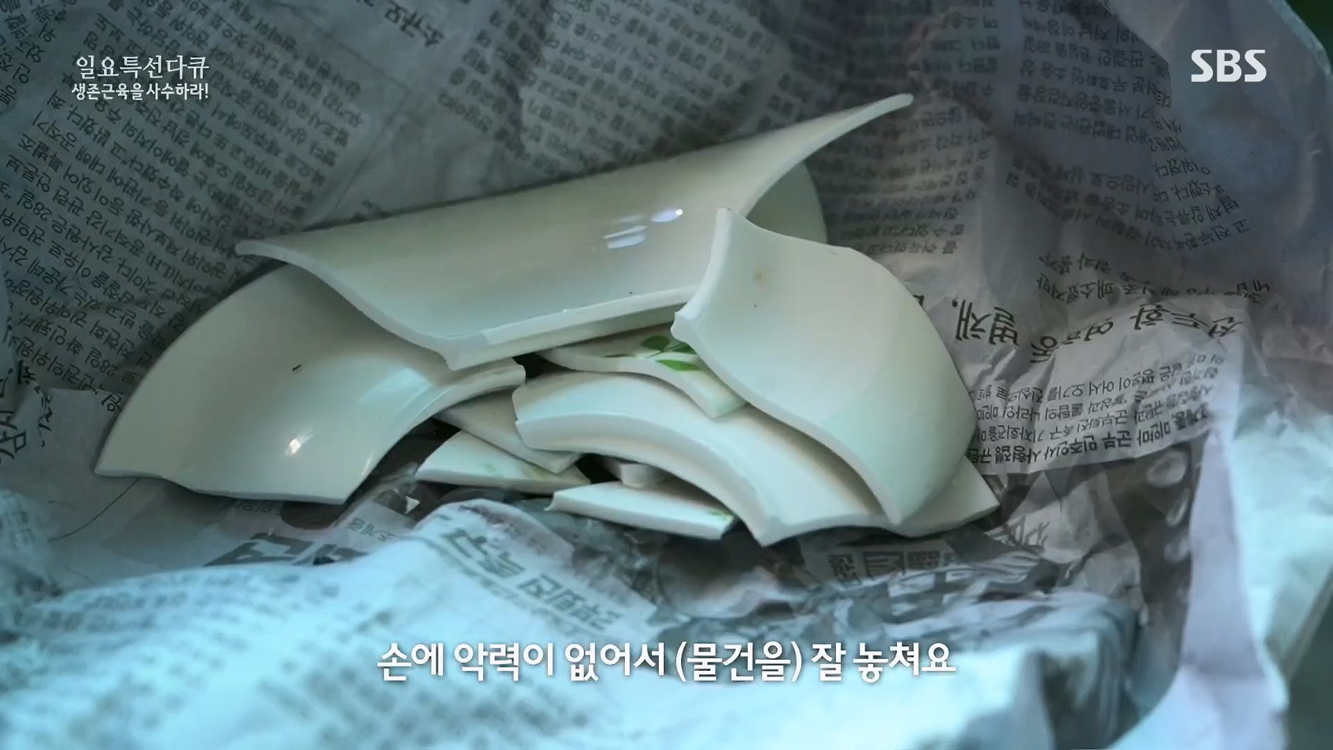 일요 특선 다큐멘터리.E319.230910p.H264-F1RST.mp4_20230918_202632.349.jpg