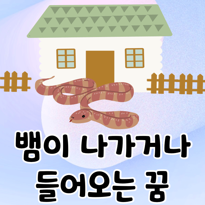 집과 뱀