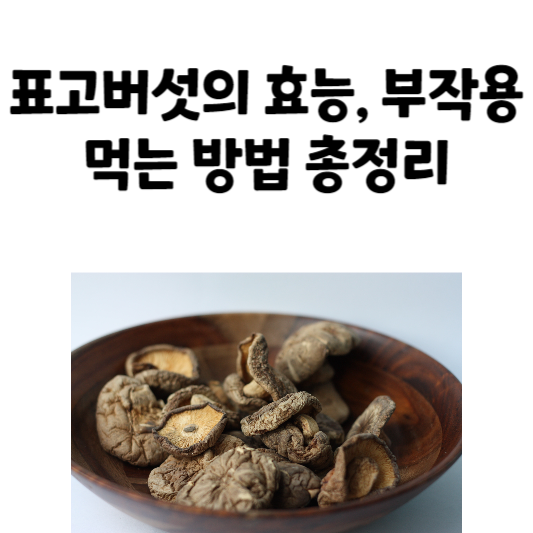 표고버섯의 효능과 부작용&#44; 섭취 방법