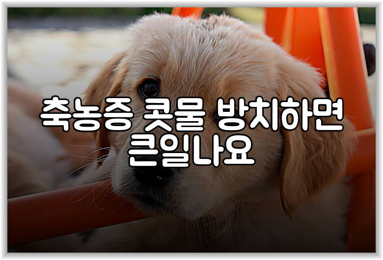 축농증 콧물 방치하면 큰일나요