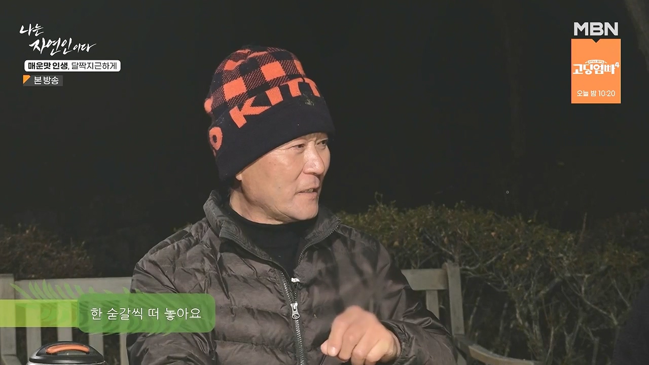 나는 자연인이다.E585.231221p-NEXT.mp4_20231221_195117.508.jpg