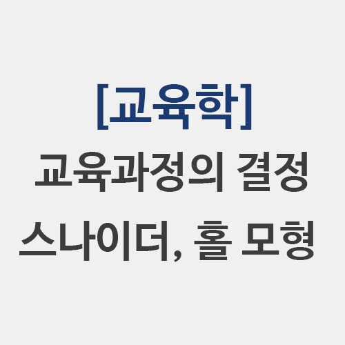  [교육학] 교육과정 결정방식 스나이더 홀 교육과정 적용 모형