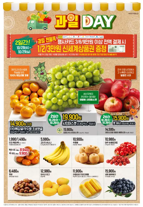 전단지 사진