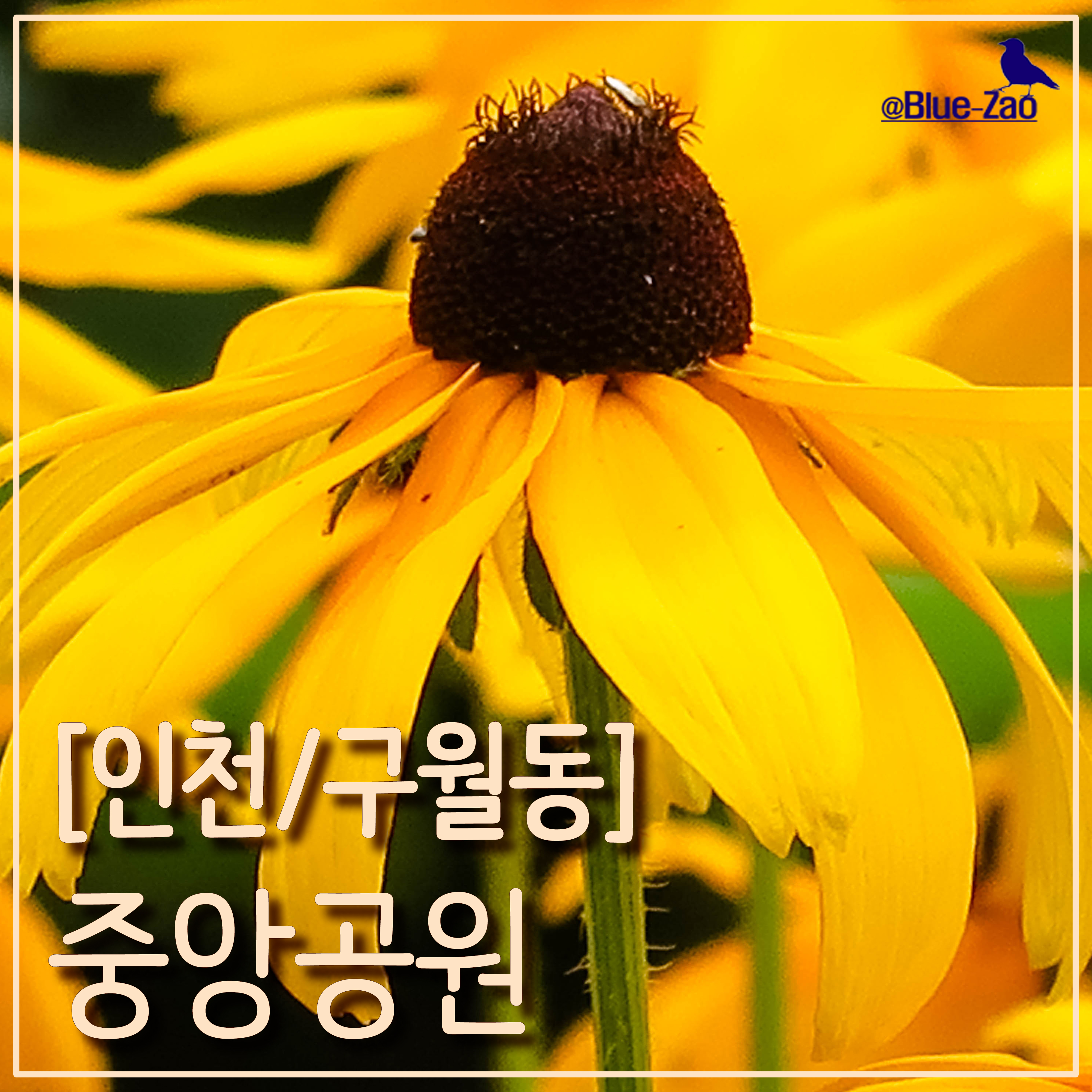  [인천/구월동] 20200729 중앙공원 산책