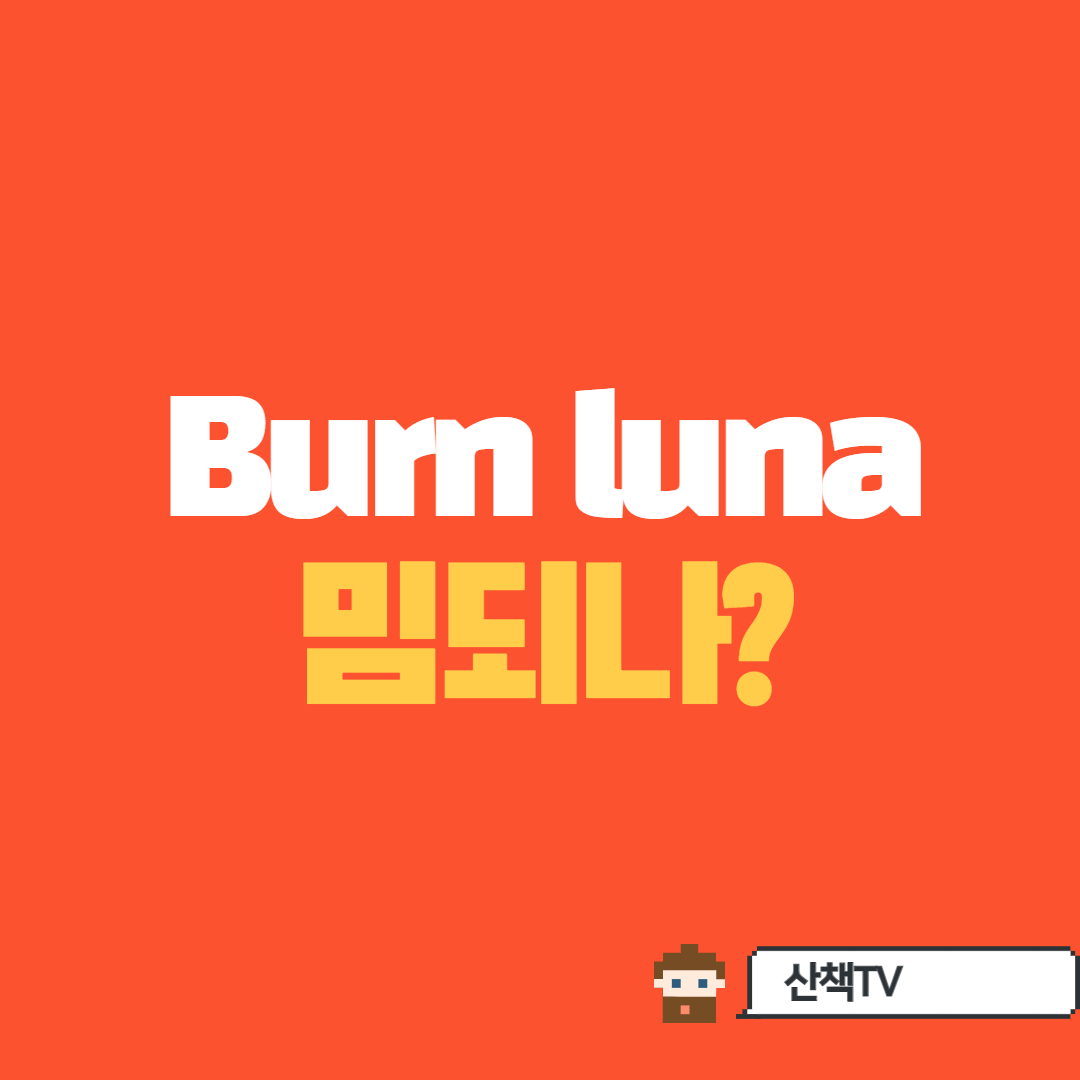  루나 소각하기운동?! (해외판 금모으기 운동진행중)