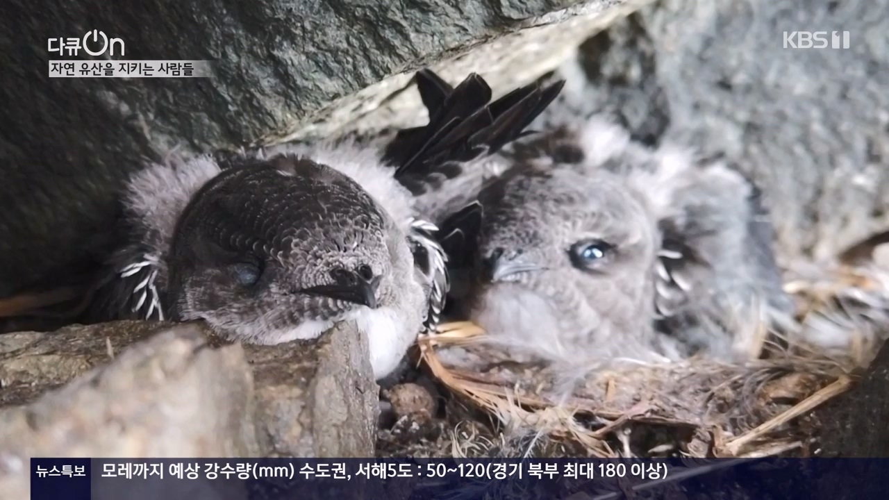 다큐 온.E206.230723p-NEXT.mp4_20230724_214226.326.jpg