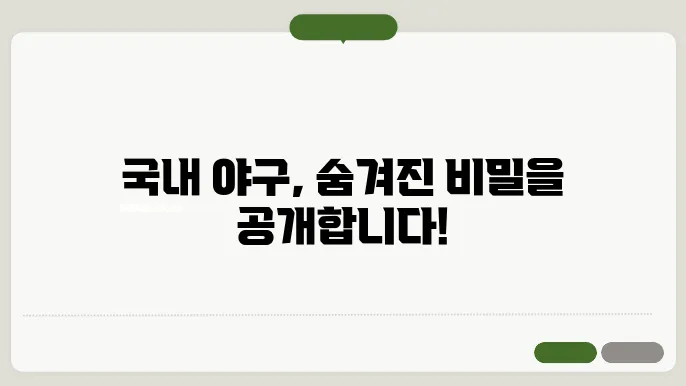 국내야구갤러리