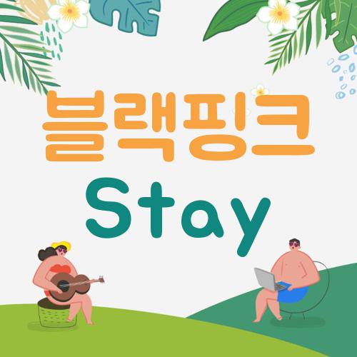 블랙핑크 Stay