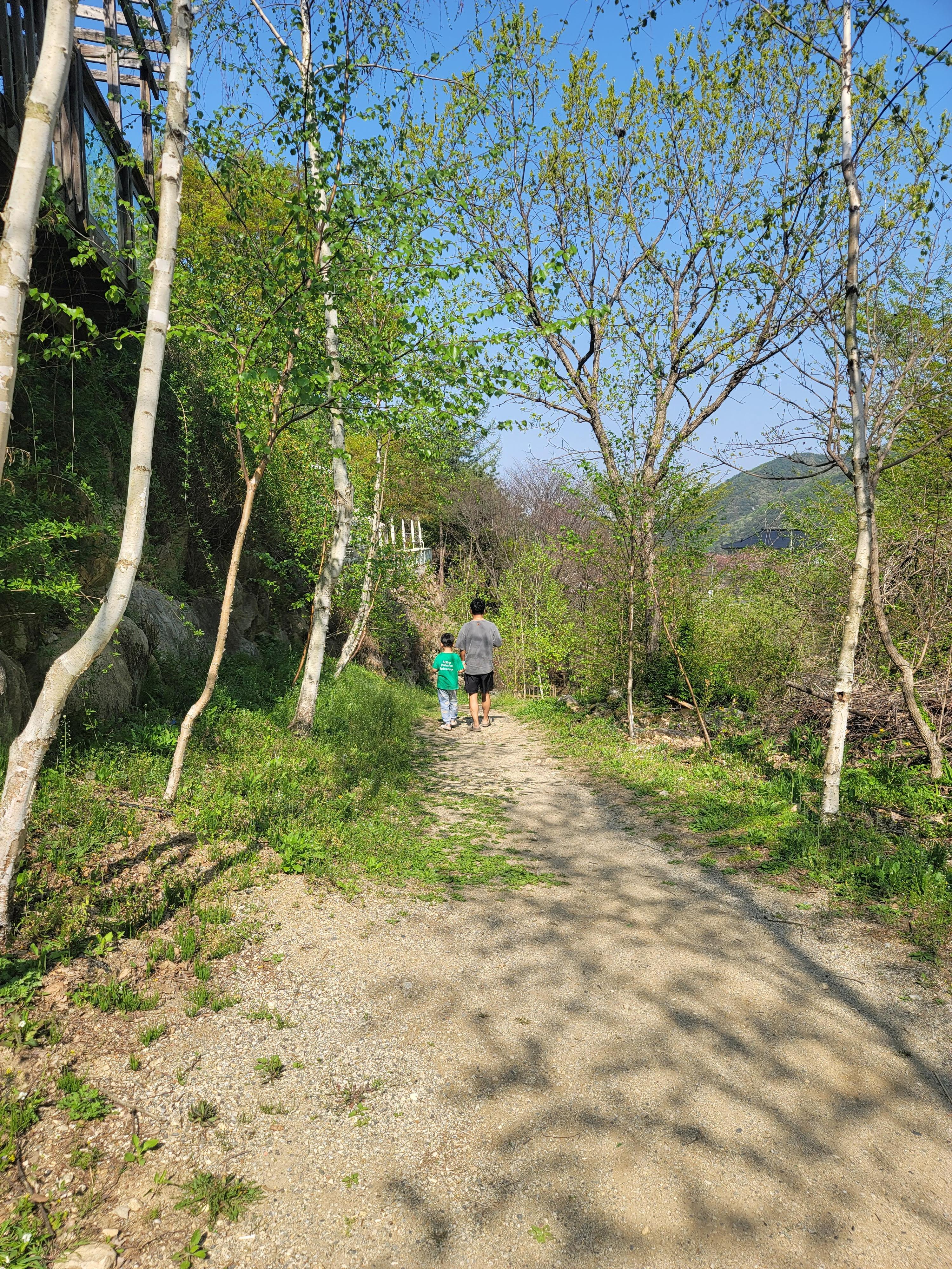 리베볼