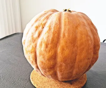 늙은호박 효능 칼로리 요리법_26