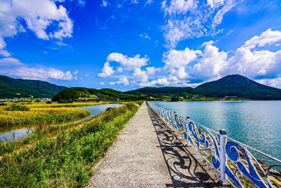 거제 오수마을 갈대밭 가을이 찾아온 17