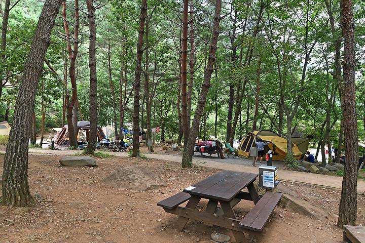 경남 산청군 지리산 내원야영장 소개