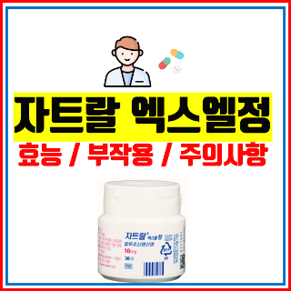  자트랄 엑스엘정 10mg 알고 드세요!