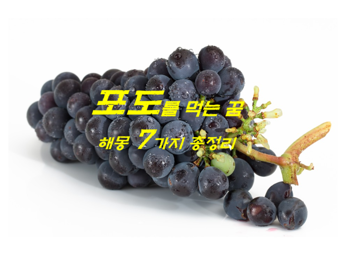  포도꿈 해몽 7가지  총정리