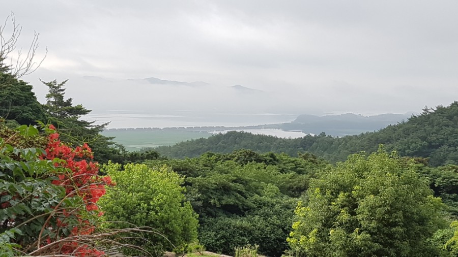 동백여행사1박2일 [국내 여행 / 남도 맛기행] 동백 여행사 1