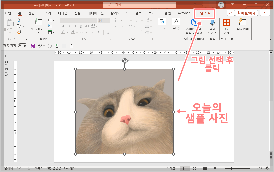파워포인트 사진 배경 제거