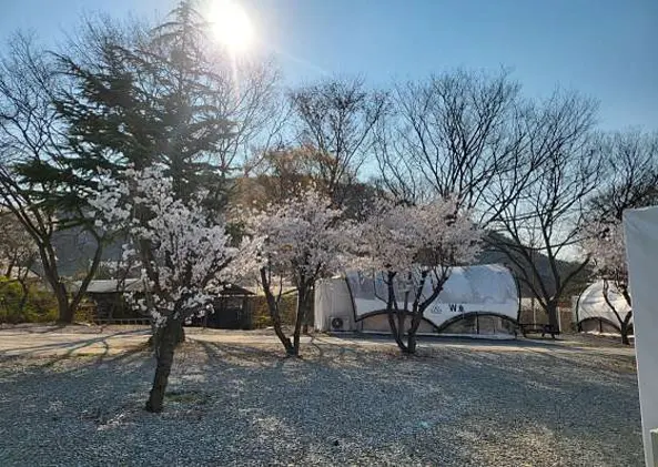 와이(Y)글램핑