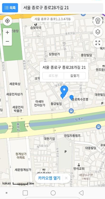  종로 한방정통삼계탕
