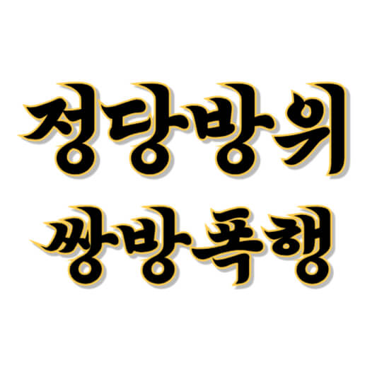 정당방위 쌍방폭행