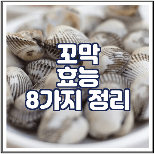  꼬막 효능 8가지 정리