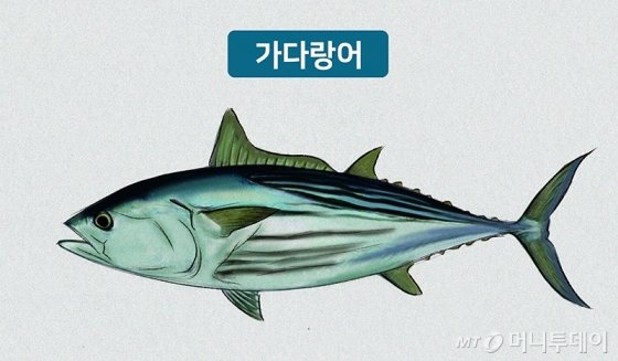 참치랜드 이미지