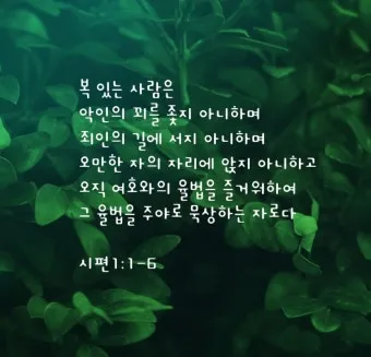 시편 1장 3절 묵상 - 그는 시냇가에 심은 나무가 철을 따라 열매를 맺으며_24