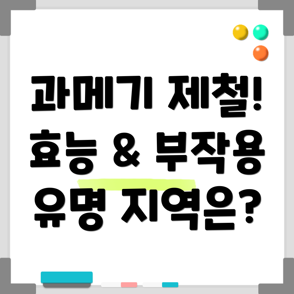 과메기