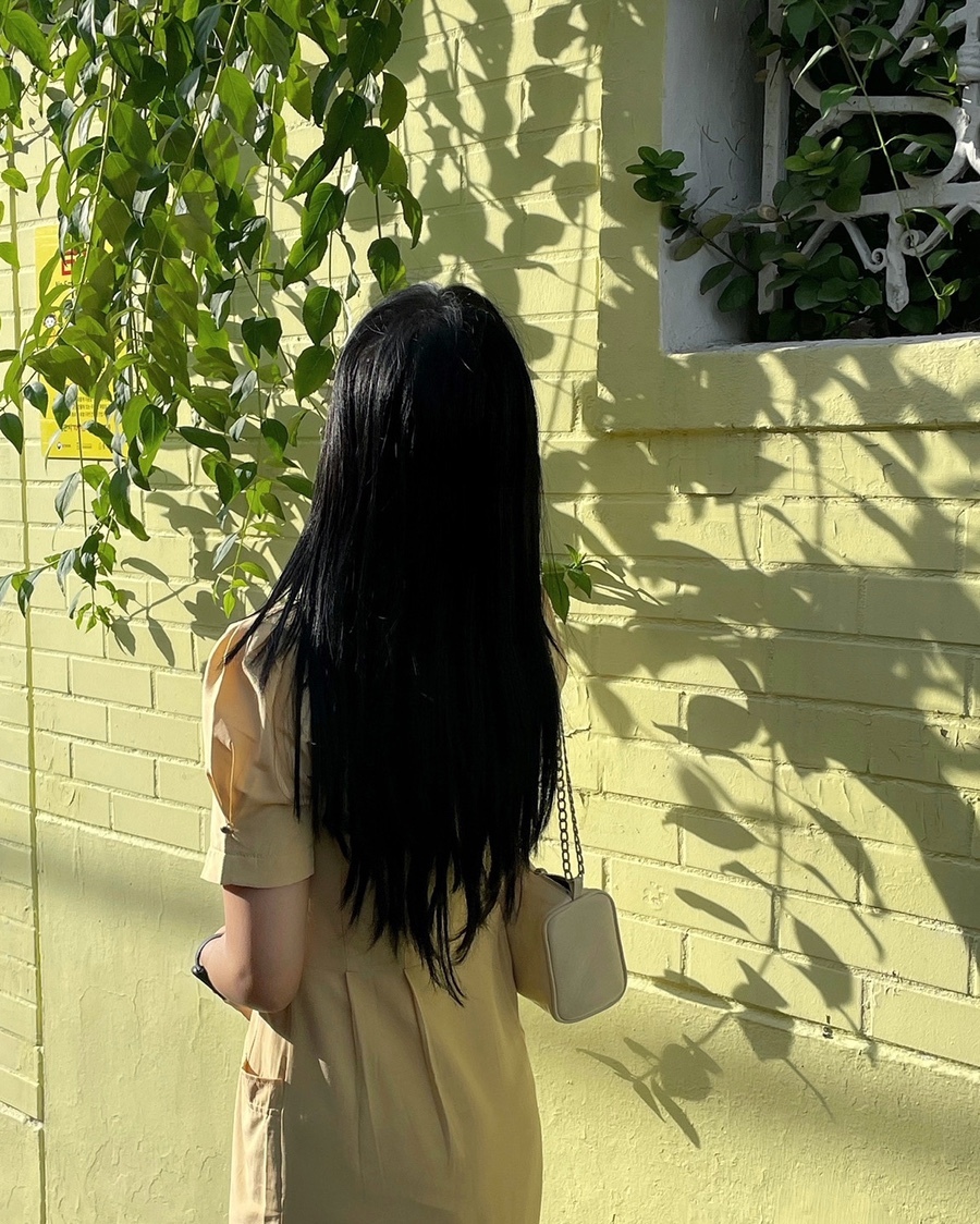 슬로우포레스트 이미지