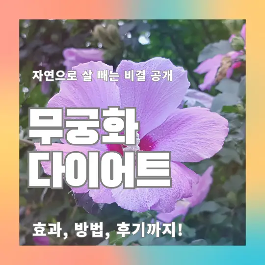 무궁화 다이어트
