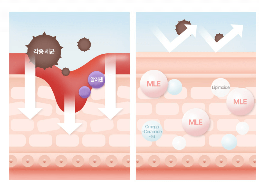 아토팜 MLE크림 아기 보습크림 추천