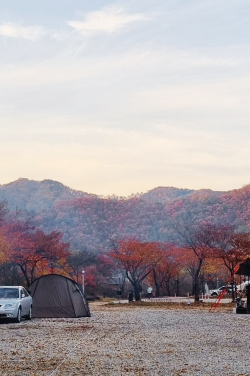 홍천 알프스밸리 캠핑나라