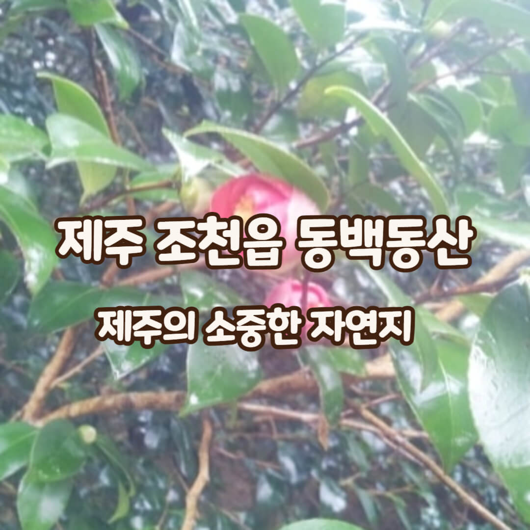 동백동산-썸네일