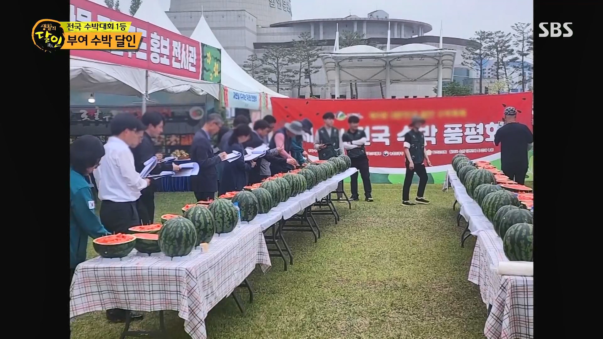 생활의 달인.E939.240610p.H264-F1RST.mp4_20240611_194023.564.jpg