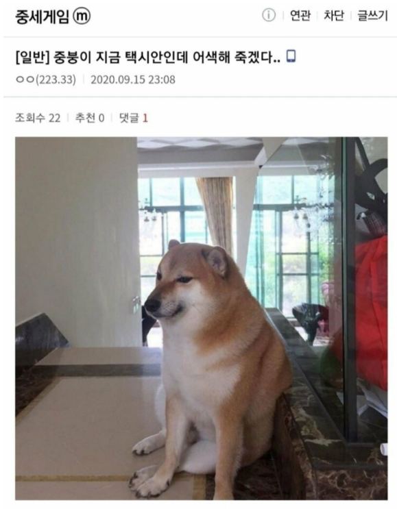  택시기사님과 어색해짐...!