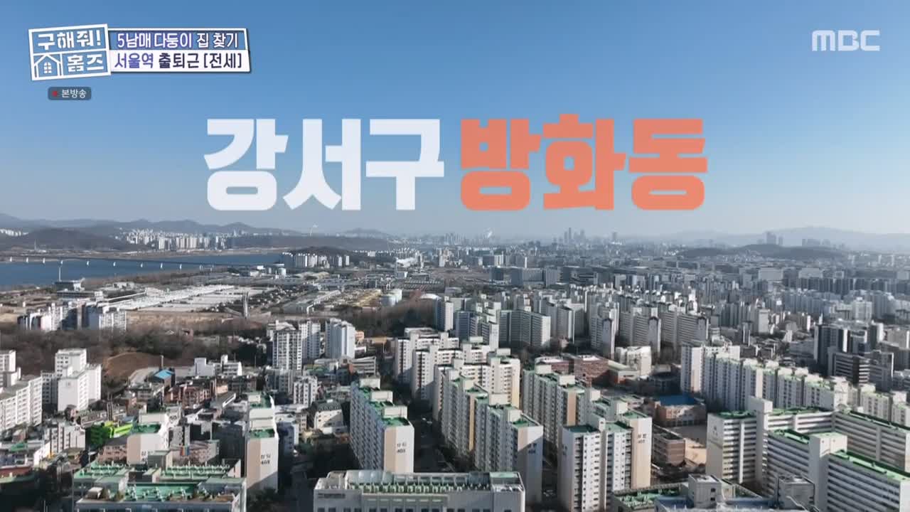 구해줘홈즈 강서구 방화동 다둥이 드루와 벽돌집 단독주택 매물 가격 및 구조 인테리어 리모델링 최종선택 소개 다시보기