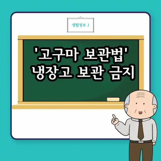 고구마 보관법 냉장고 보관은 금지