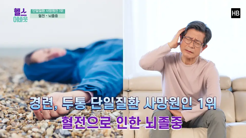 혈전용해제 나토키나제