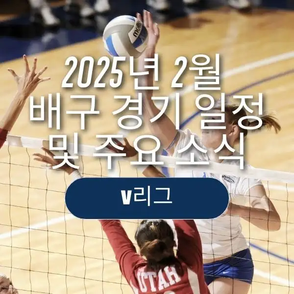 2025년 2월 배구 경기 일정