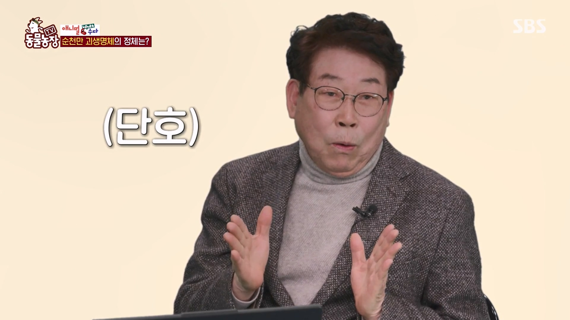 TV 동물농장.E1164.240324p-NEXT.mp4_20240324_170350.718.jpg