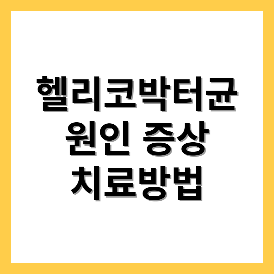  헬리코박터균 원인 증상 치료방법