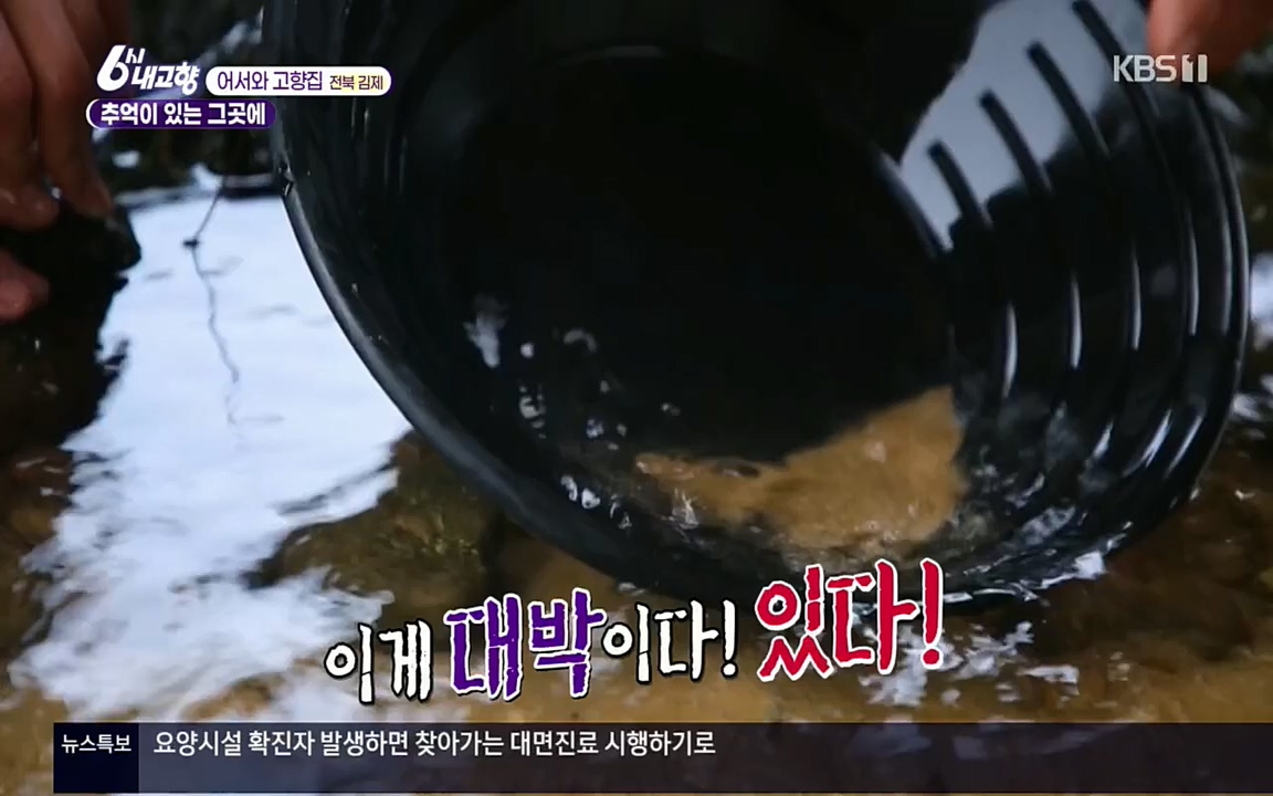 6시 내고향.E7508.220412p.H264-F1RST.mp4_20220417_192513.009.jpg
