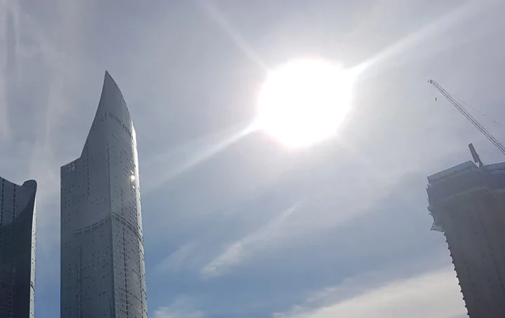 자동차_햇빛