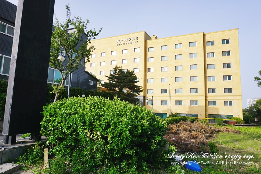 속초 팜파스리조트 강원도 숙소 추천 15