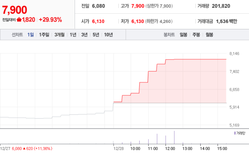  12월 28일 장 중 특징주