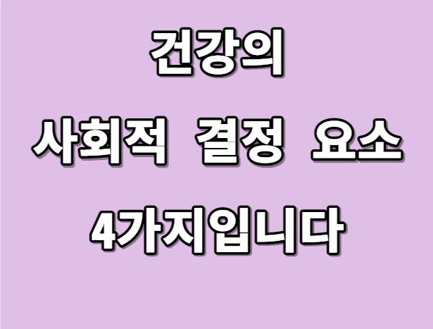 건강의 사회적 결정 요소 4가지