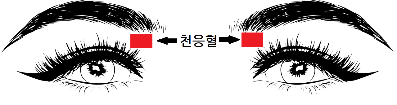 눈 피로 푸는 법