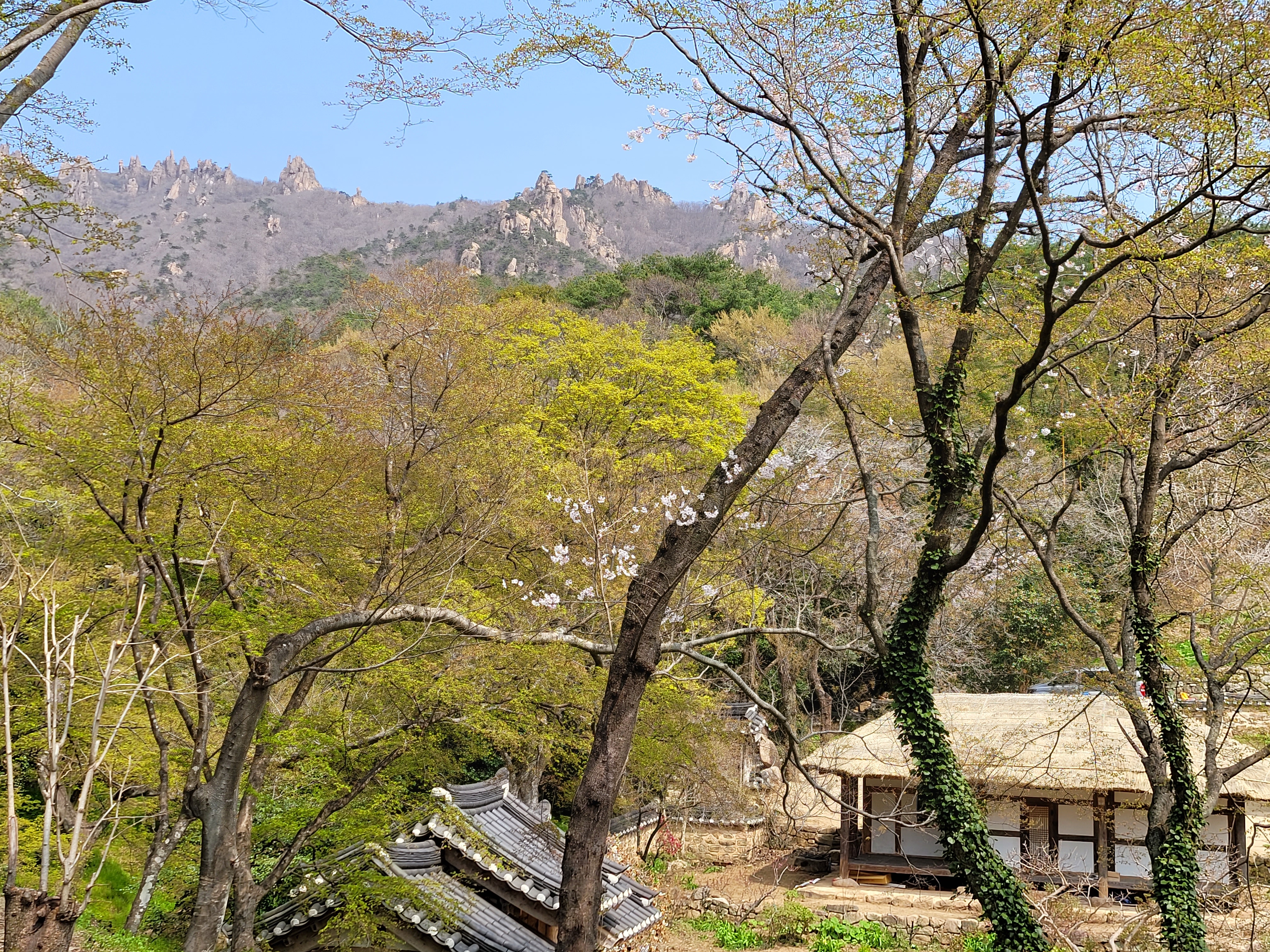 지난 4월 어느 봄날&#44; 나는 하루 종일 별서정원 정자에 앉아 산은 오르지 않고 월출산만 바라보았다!