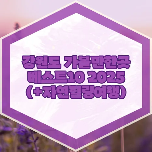 강원도 가볼만한곳 베스트10 2025 (+자연힐링여행)