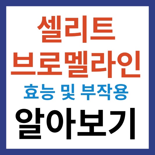 셀리트 브로멜라인 효능 및 부작용 정보